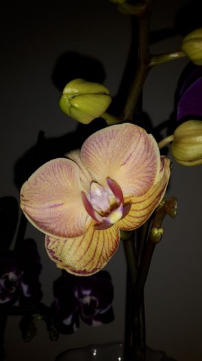 20150325_171521
