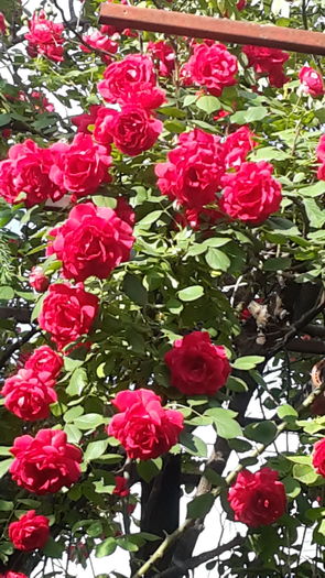 20160518_170910