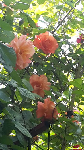 20160518_170805