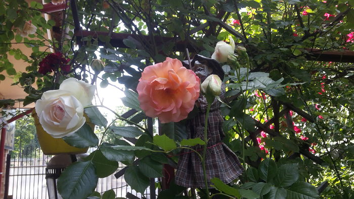 20160518_170748