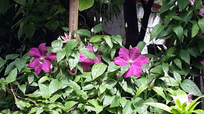 20160517_124041