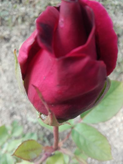 20160518_181024