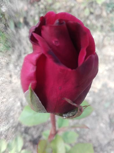 20160518_181015