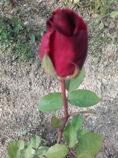 20160518_181008