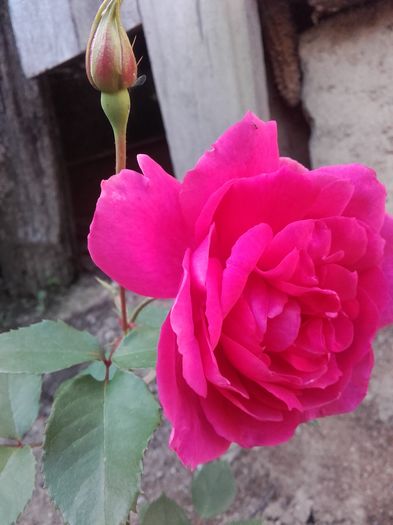 20160518_180231