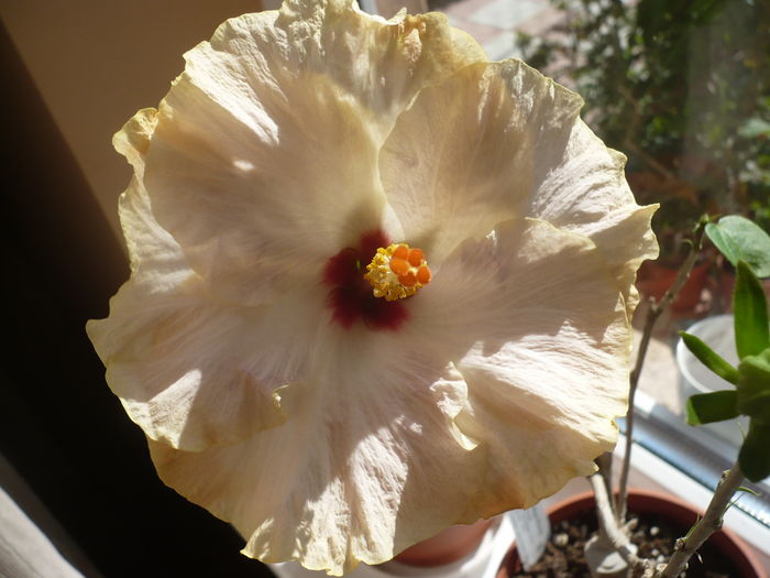 P1260789