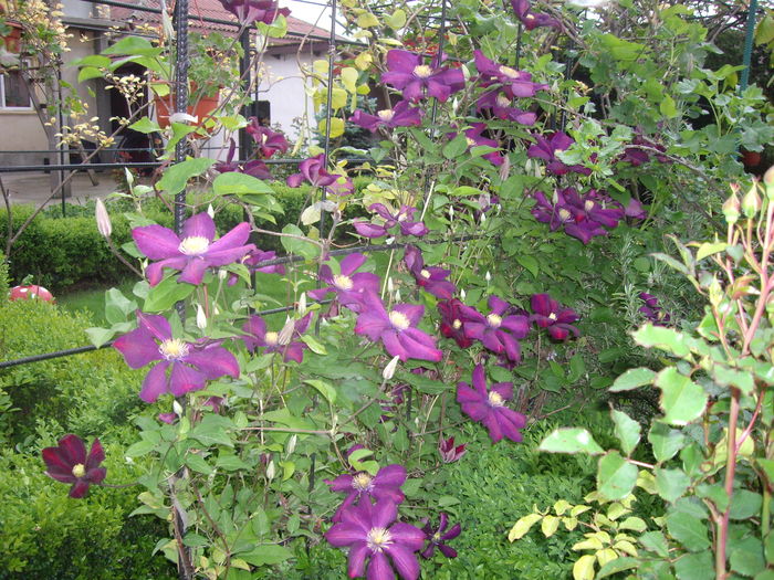 IMGP9254