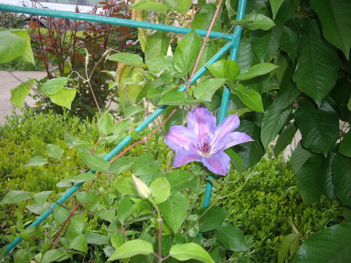 IMGP9267