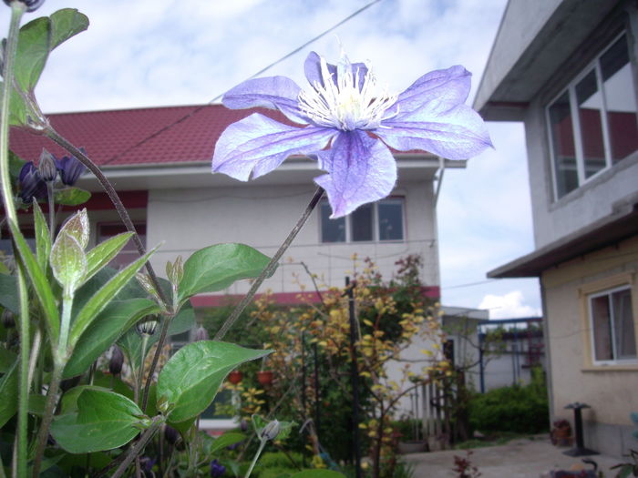 IMGP9296