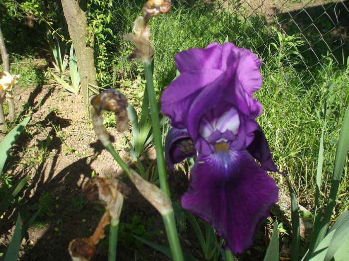 DSCF8460