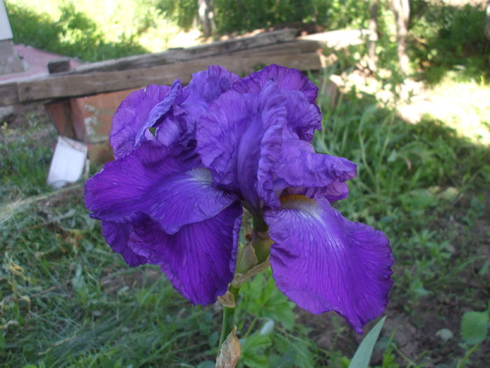 DSCF8467