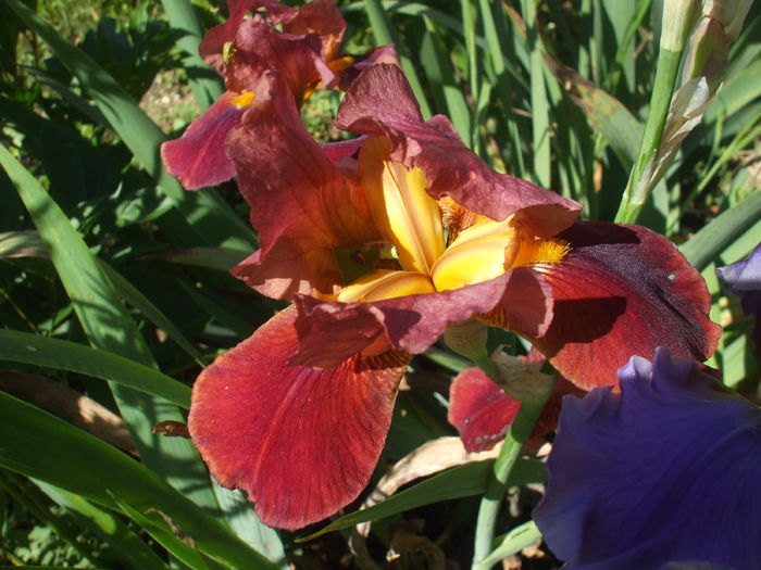 DSCF8472
