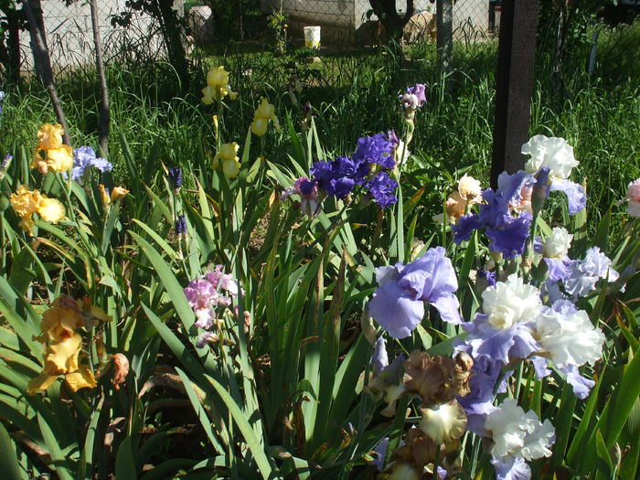 DSCF8476