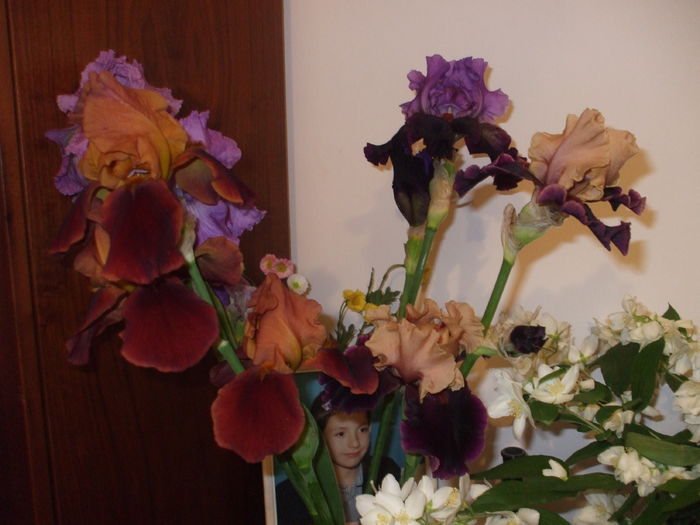DSCF8619