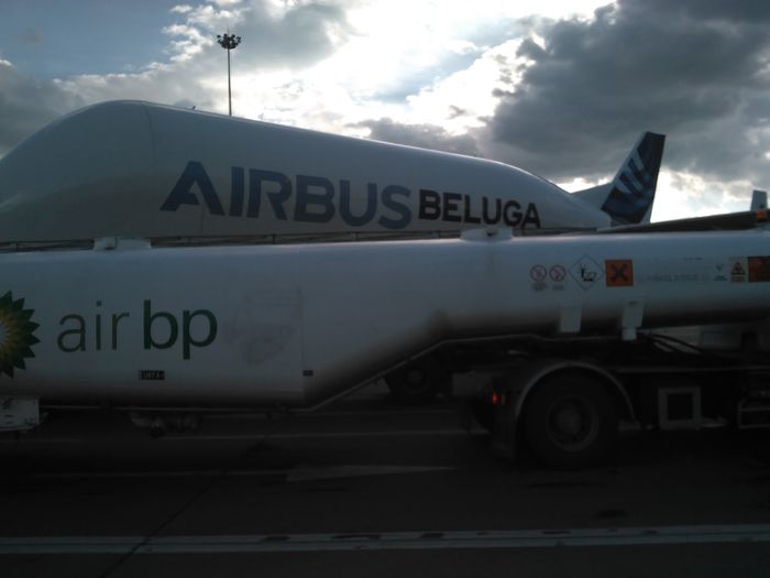 IMG_20160518_184847 - Airbus Beluga