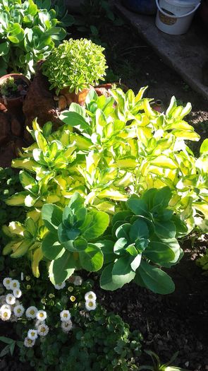 20160515_090232