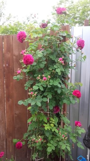 20160516_191210