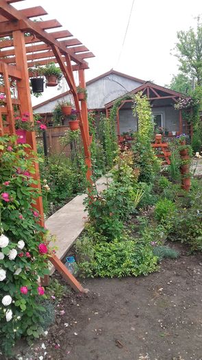 20160517_083204