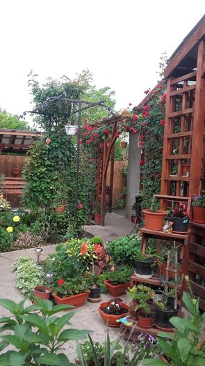 20160517_091018