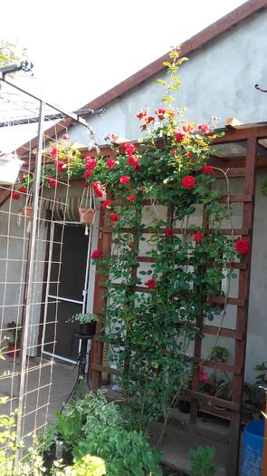 20160518_084355