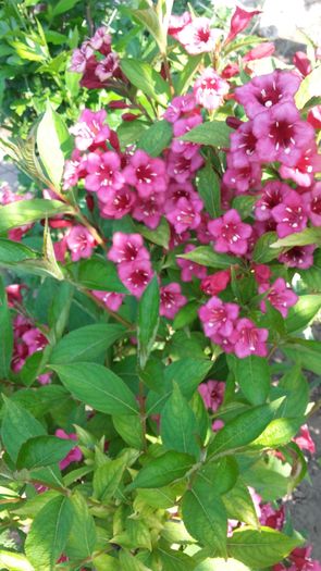 20160518_084504