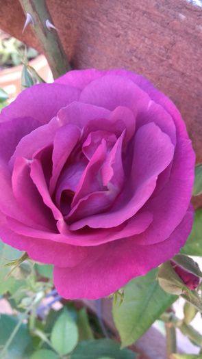 20160518_084558