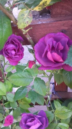 20160519_074000