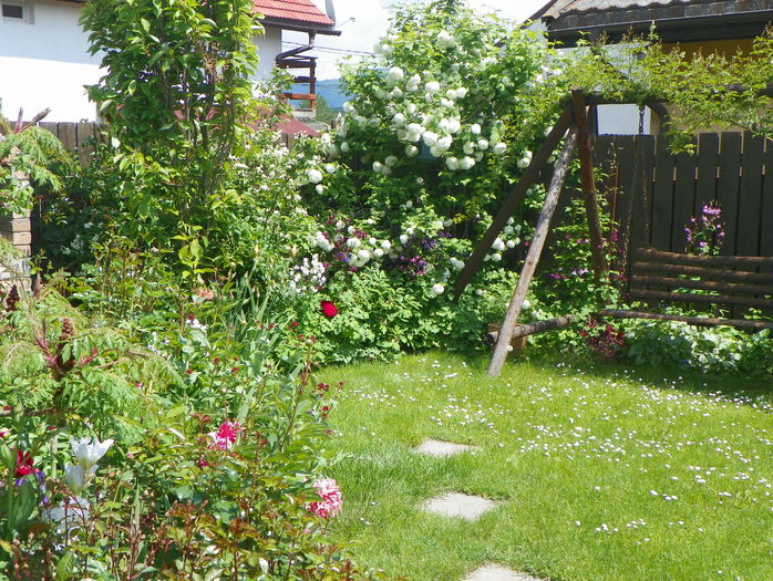 19 mai (40) - Gradina 2016
