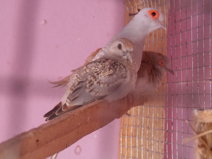 DSCN2738