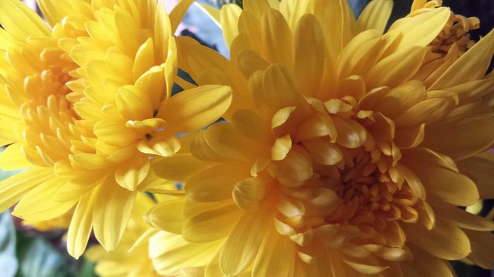 13214908_1604568723190115_1804214755_o