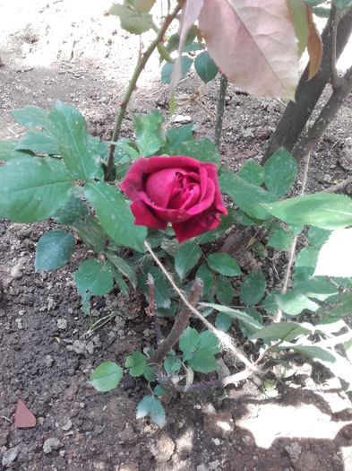20160520_140544