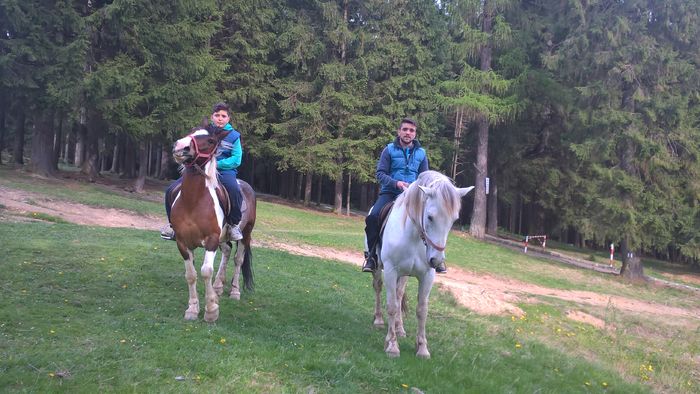 WP_20160504_17_56_00_Pro