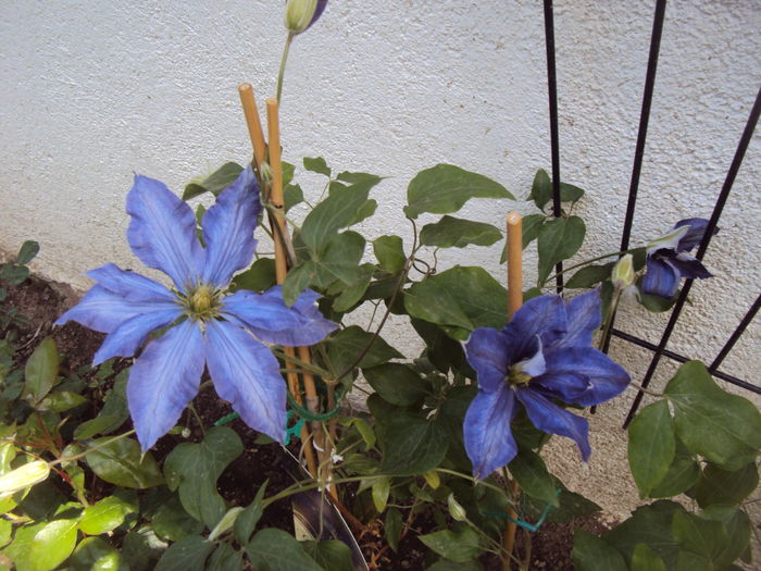 DSC01125