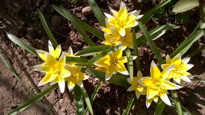 WP_20160404_16_09_04_Pro