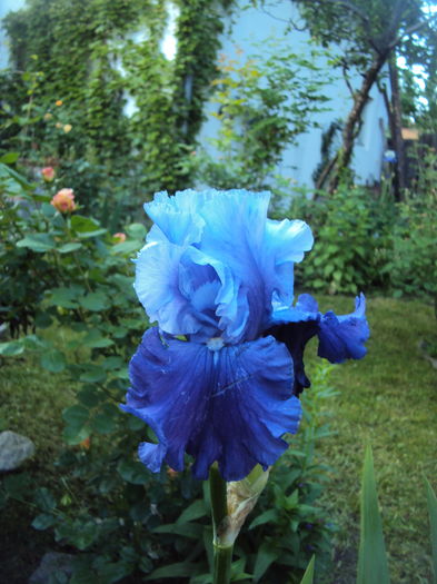 DSC01023