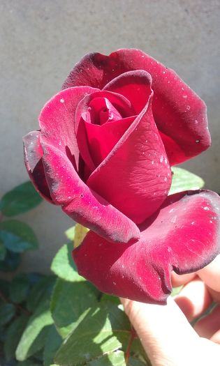 008