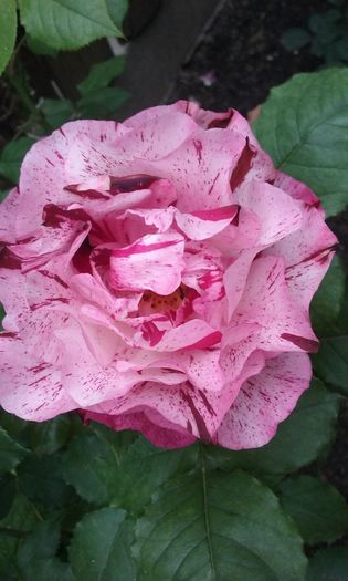 039