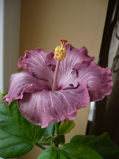 P1260874