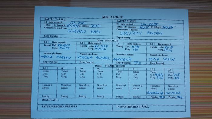 Genealogie - 02 Femela 2 RO752 2617