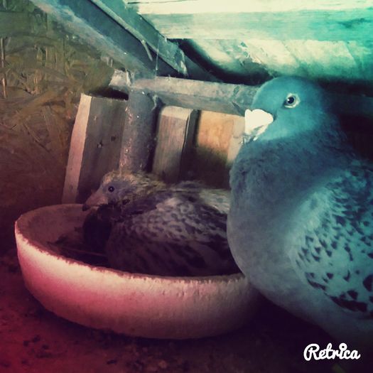 IMG_20160521_135712333