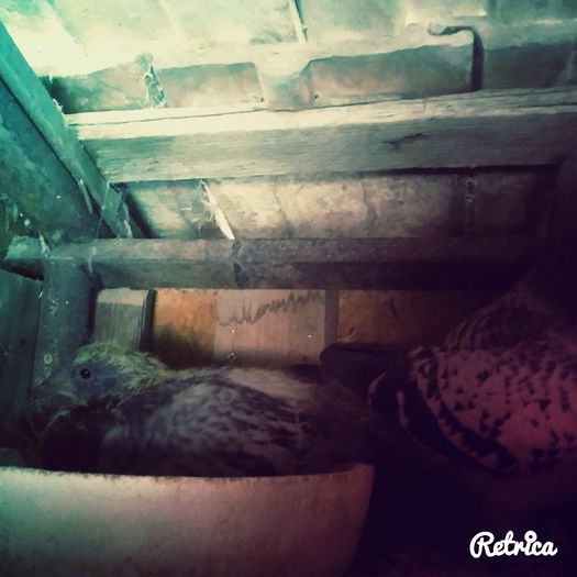 IMG_20160521_135429587