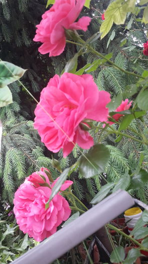 20160521_102401