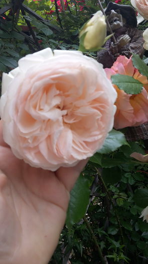 20160521_101705