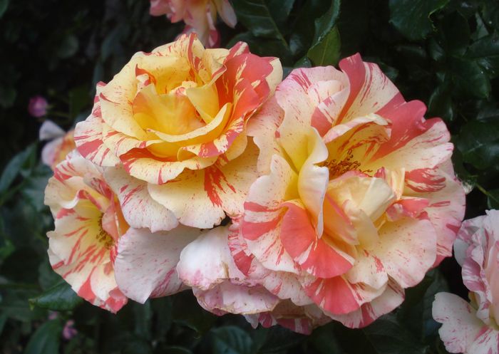 Mai 2016 - Alfred Sisley