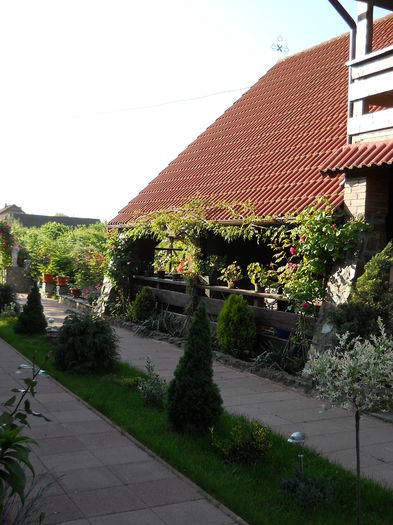 025 - de prin jurul casei