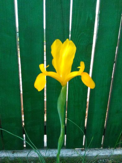 P_20160522_093130[1]