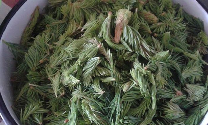 13275706_1268942539800956_295359787_n