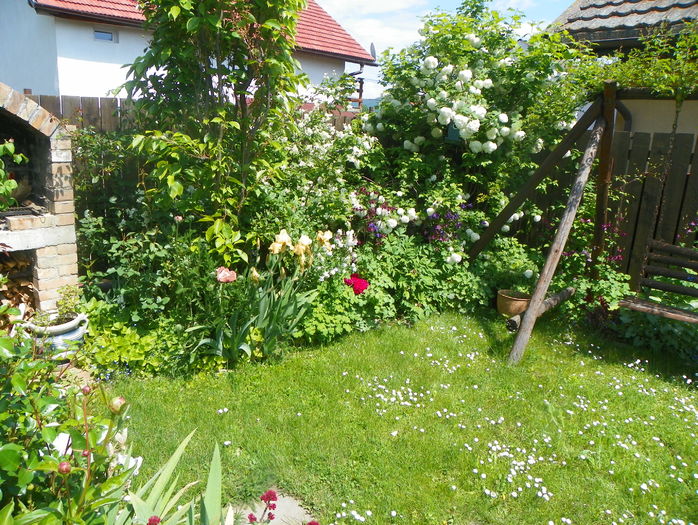 22 mai (85) - Gradina 2016