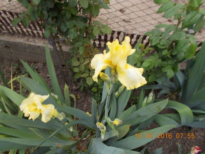 DSCN1676