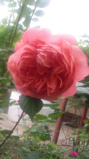 20160521_100602